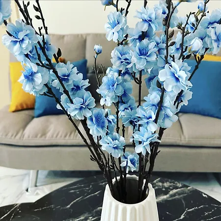 בית נופש Northern Pearl *